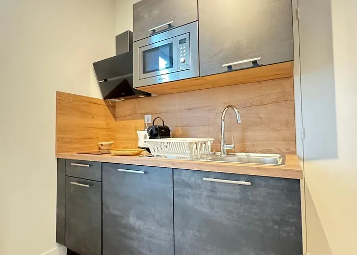 Cosy 1 Personne N6 Апартаменты Клермон-Ферран